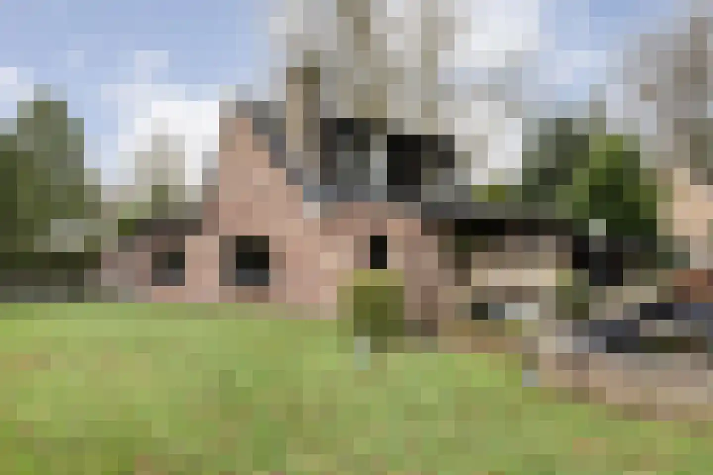 De Haar 4 R8 Balkbrug thumbnail 34