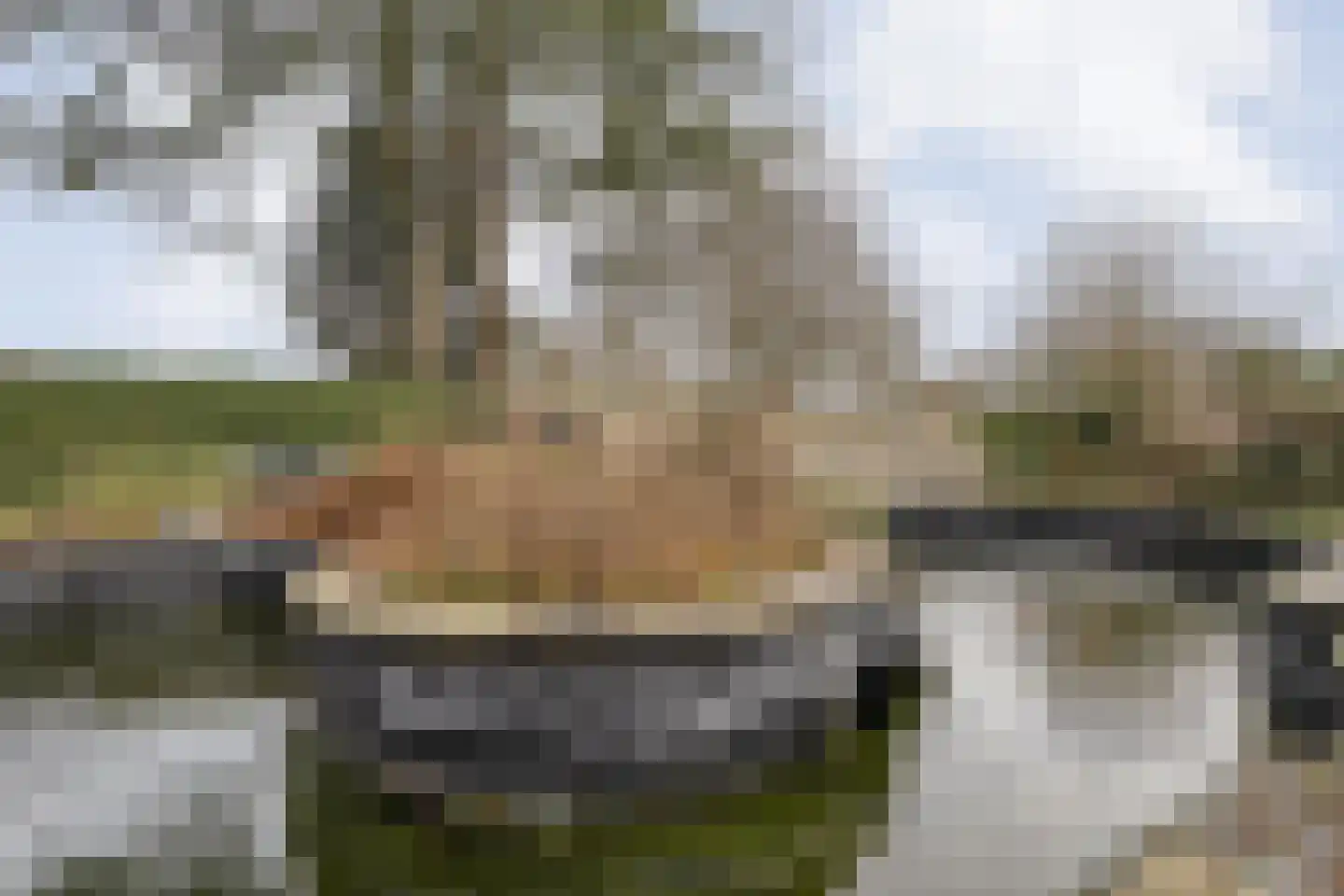 De Haar 4 R8 Balkbrug thumbnail 35