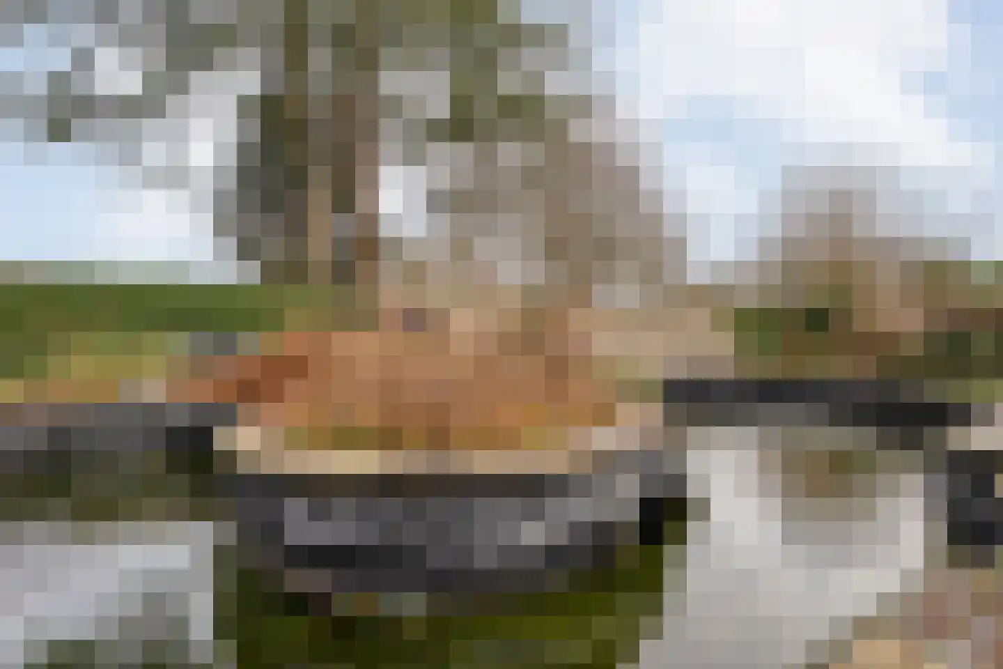 De Haar 4 R8 Balkbrug thumbnail 35