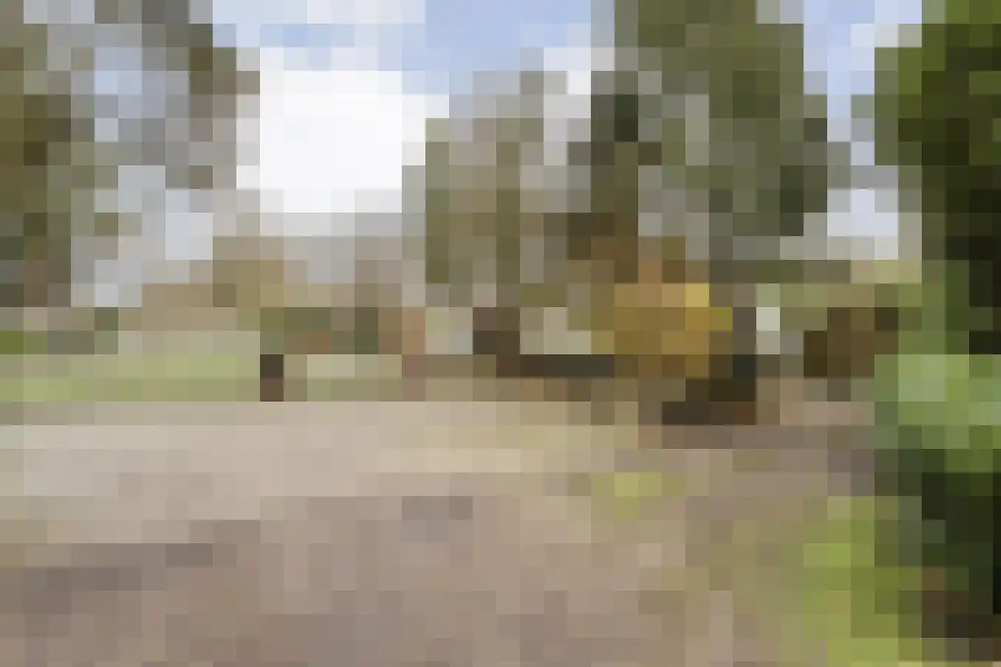 De Haar 4 R8 Balkbrug thumbnail 39