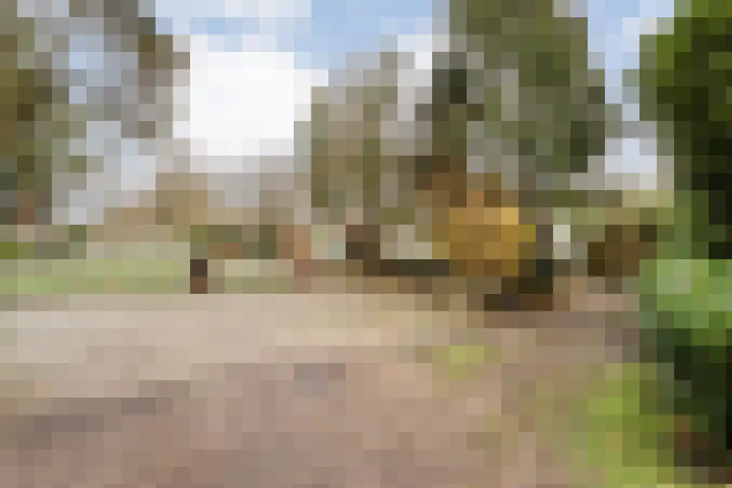 De Haar 4 R8 Balkbrug thumbnail 39