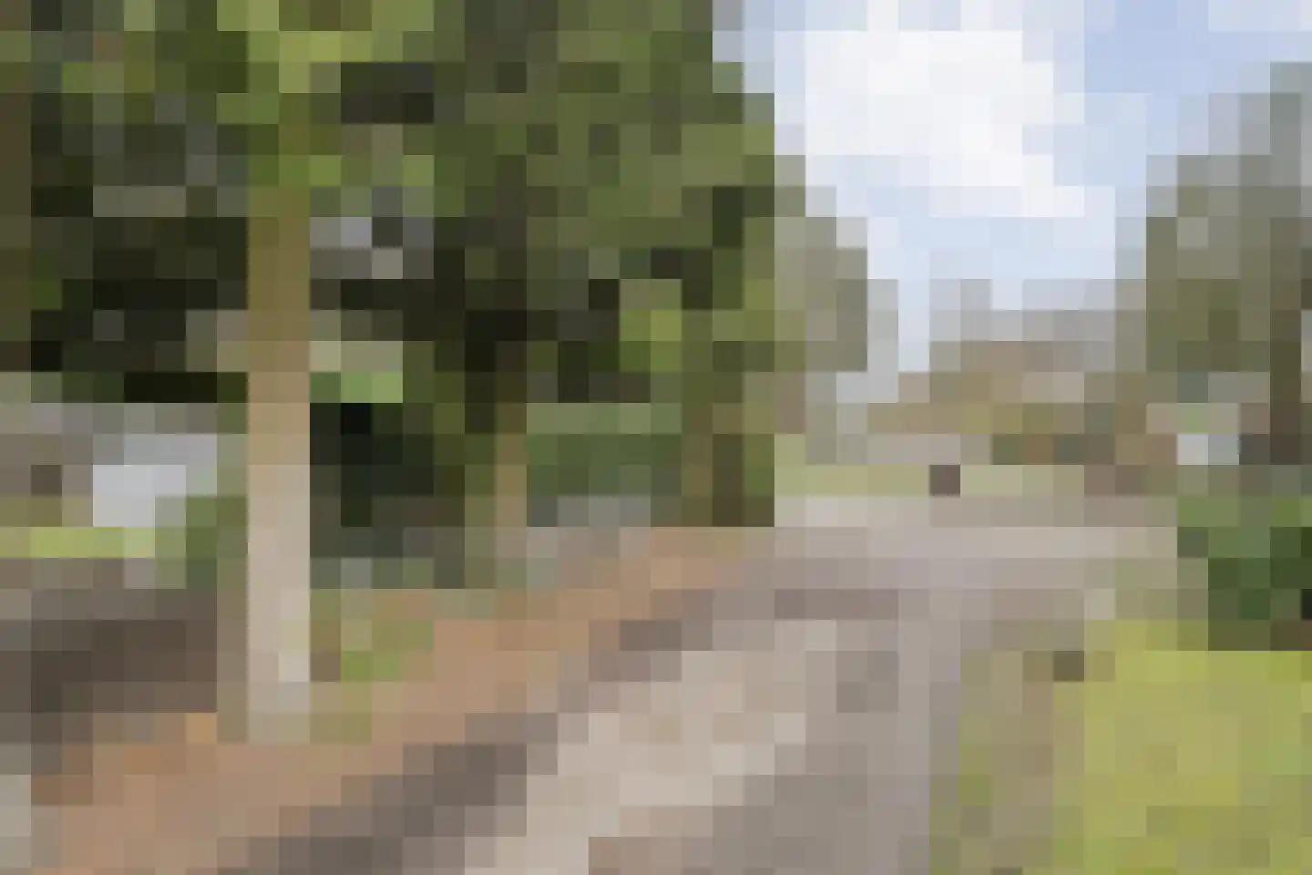 De Haar 4 R8 Balkbrug thumbnail 40