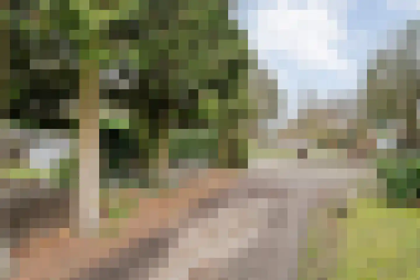 De Haar 4 R8 Balkbrug thumbnail 40