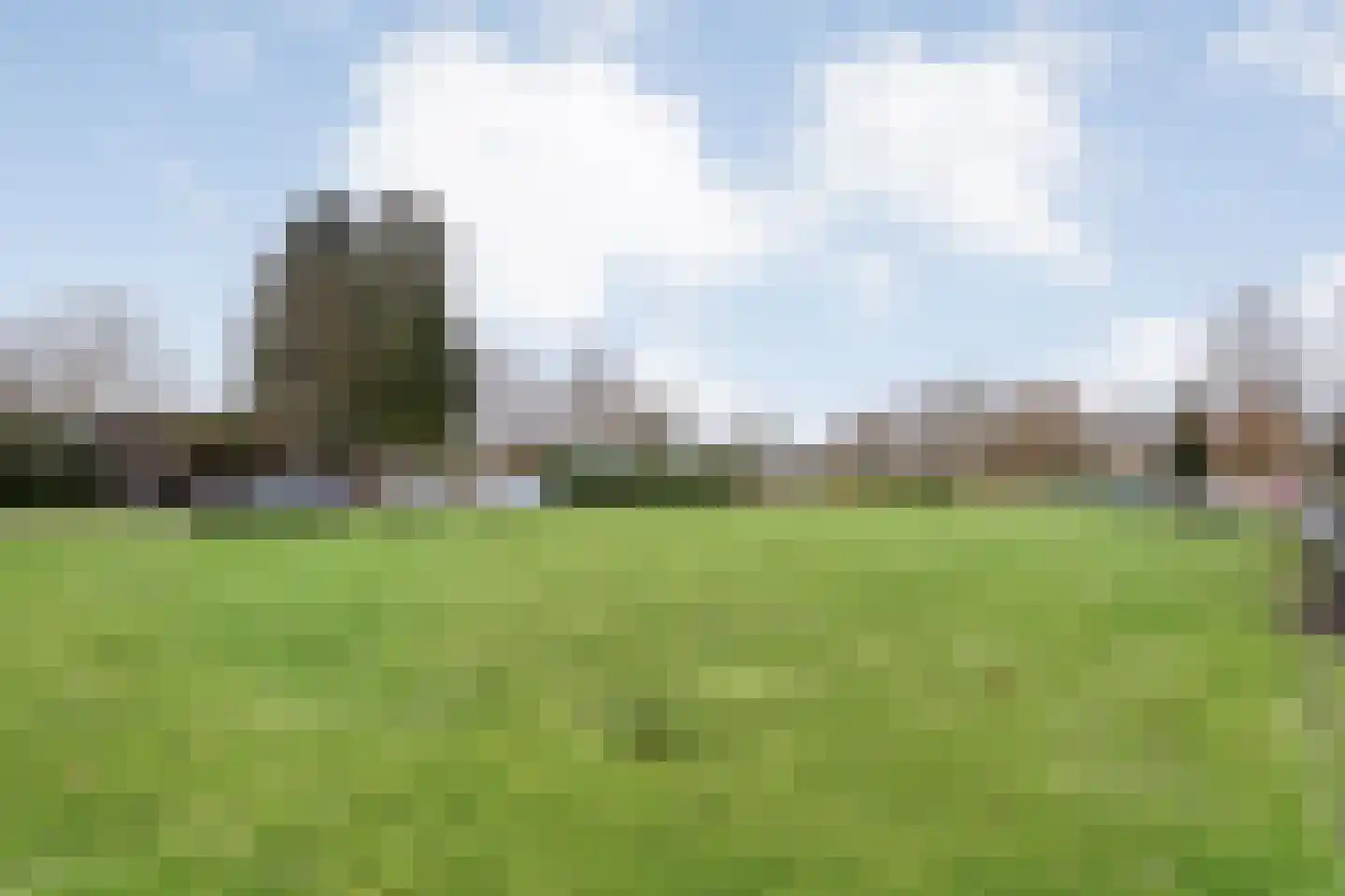 De Haar 4 R8 Balkbrug thumbnail 41