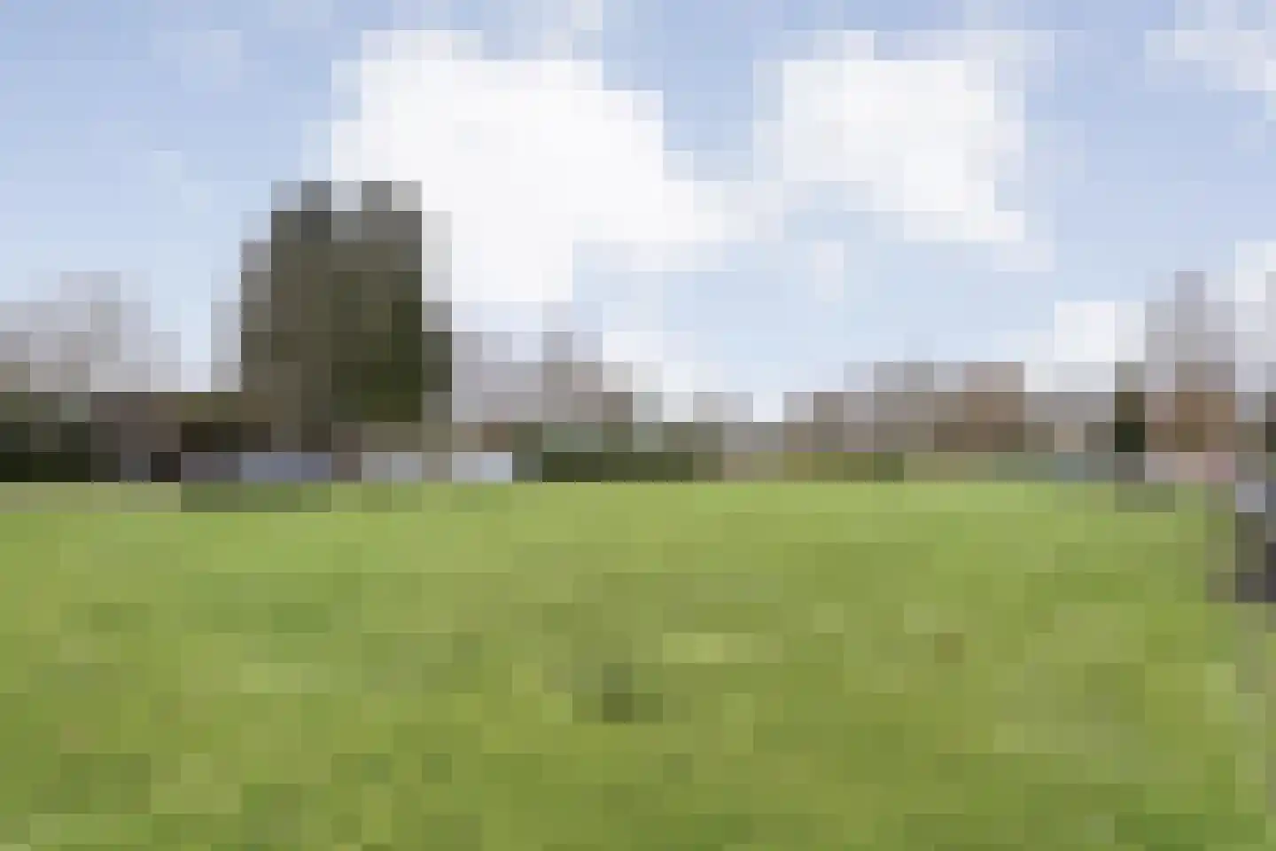 De Haar 4 R8 Balkbrug thumbnail 41