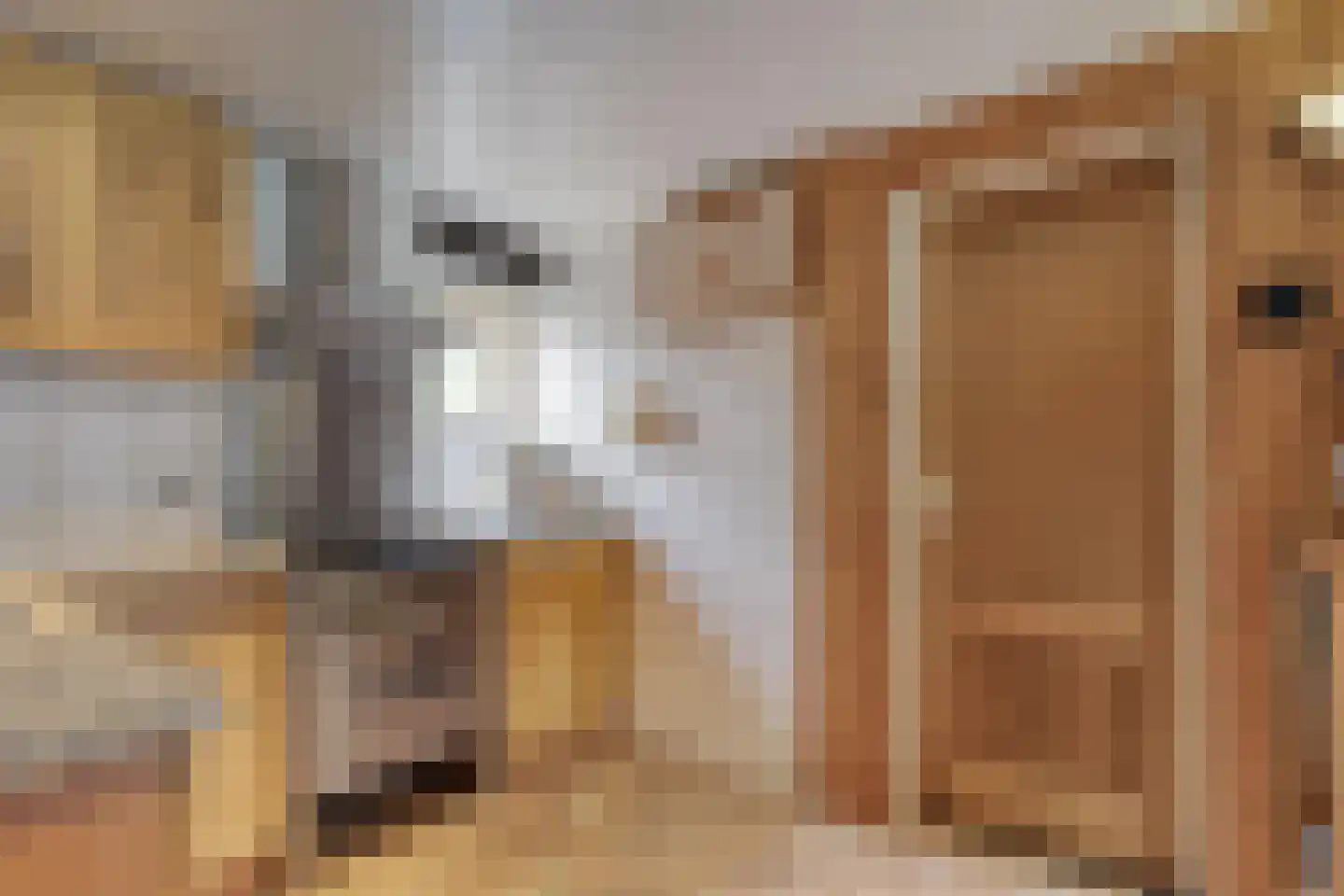 De Haar 4 R8 Balkbrug thumbnail 7