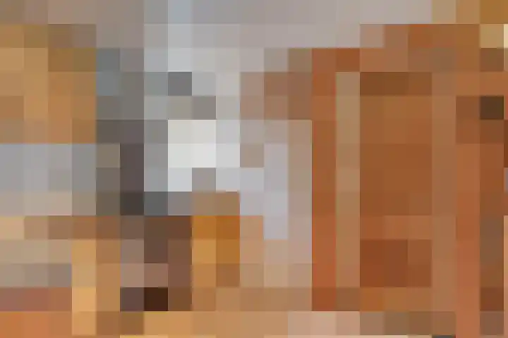 De Haar 4 R8 Balkbrug thumbnail 7