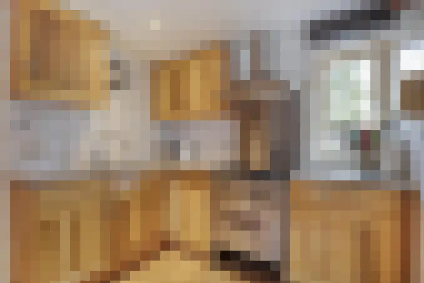 De Haar 4 R8 Balkbrug thumbnail 8