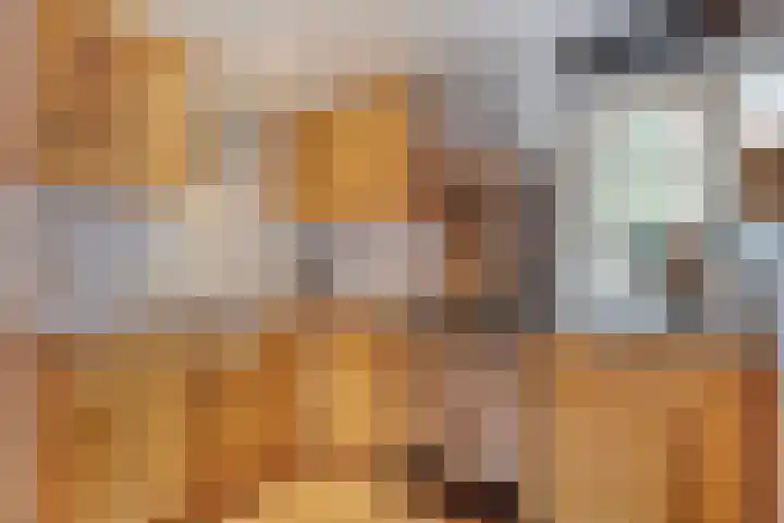 De Haar 4 R8 Balkbrug thumbnail 8
