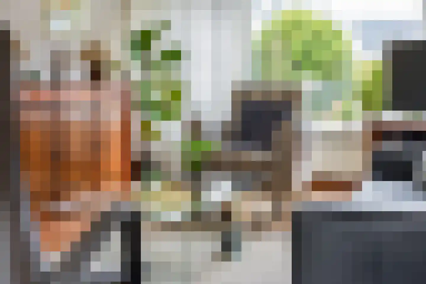 de Haar 55 Raalte thumbnail 10