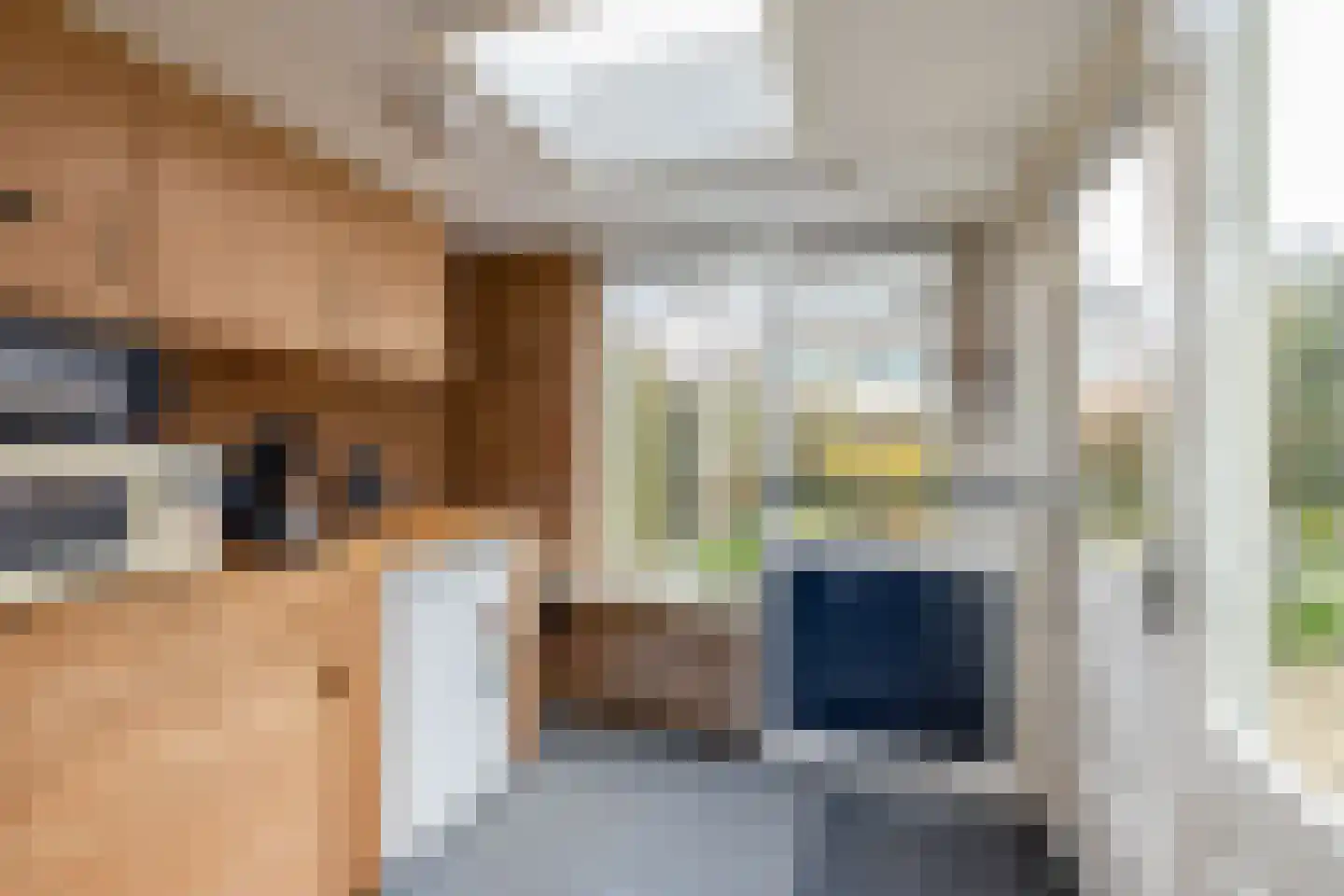 de Haar 55 Raalte thumbnail 14