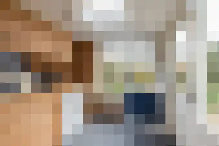 de Haar 55 Raalte thumbnail 14