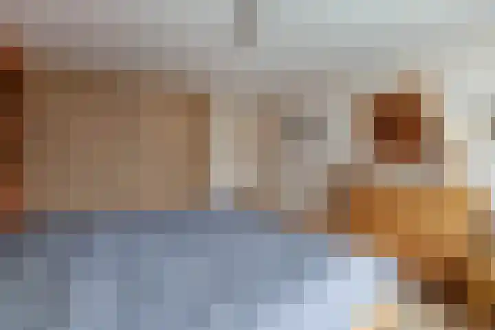 de Haar 55 Raalte thumbnail 19