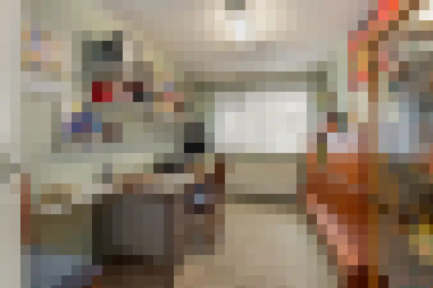 de Haar 55 Raalte thumbnail 21