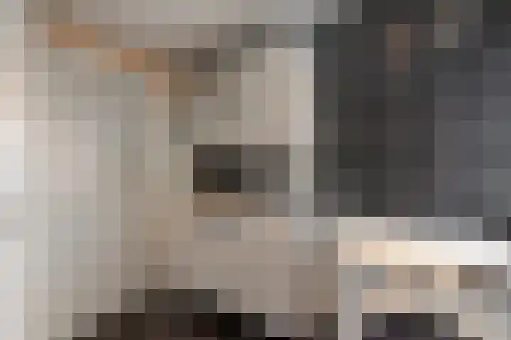 de Haar 55 Raalte thumbnail 22
