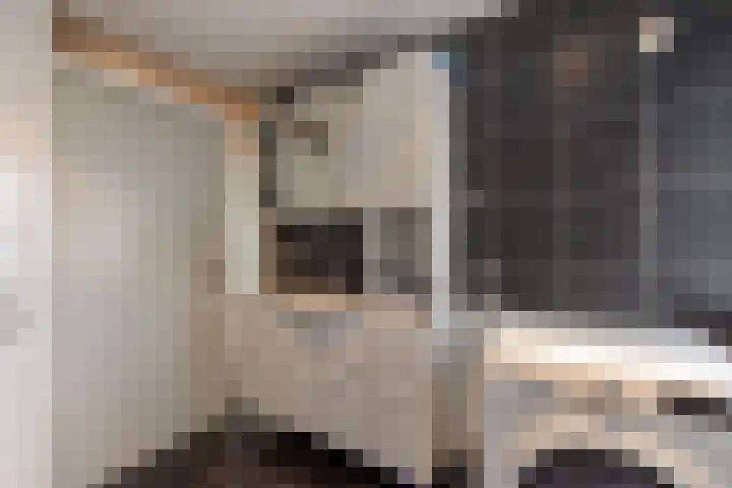 de Haar 55 Raalte thumbnail 22