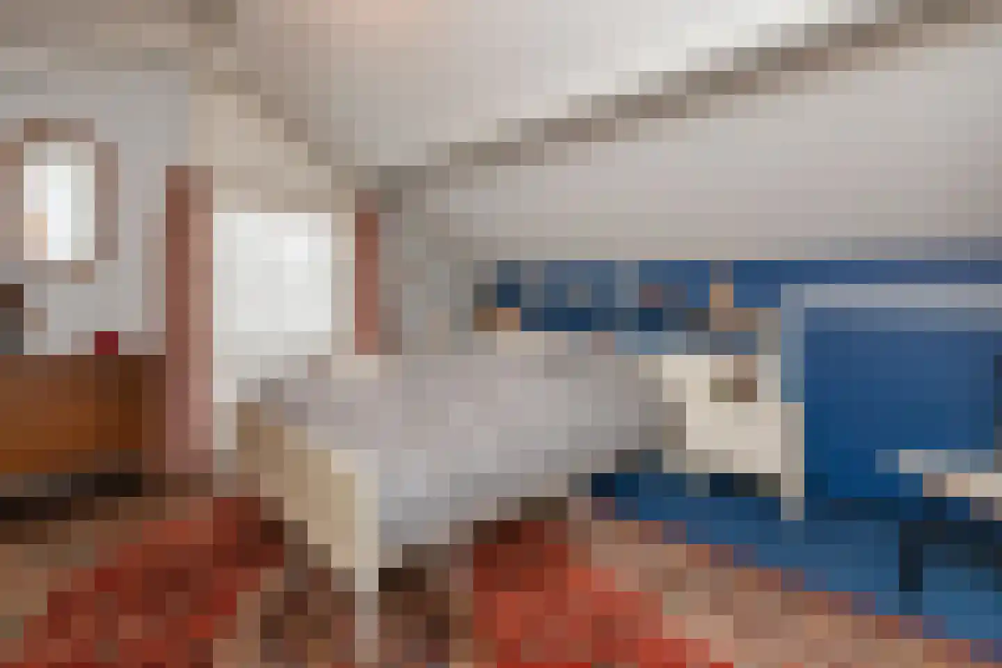 de Haar 55 Raalte thumbnail 25