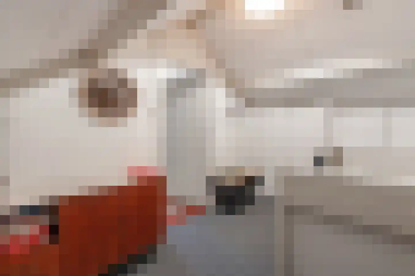 de Haar 55 Raalte thumbnail 27