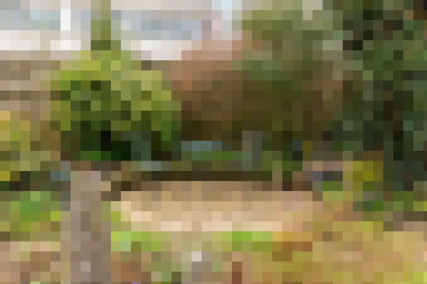 de Haar 55 Raalte thumbnail 29