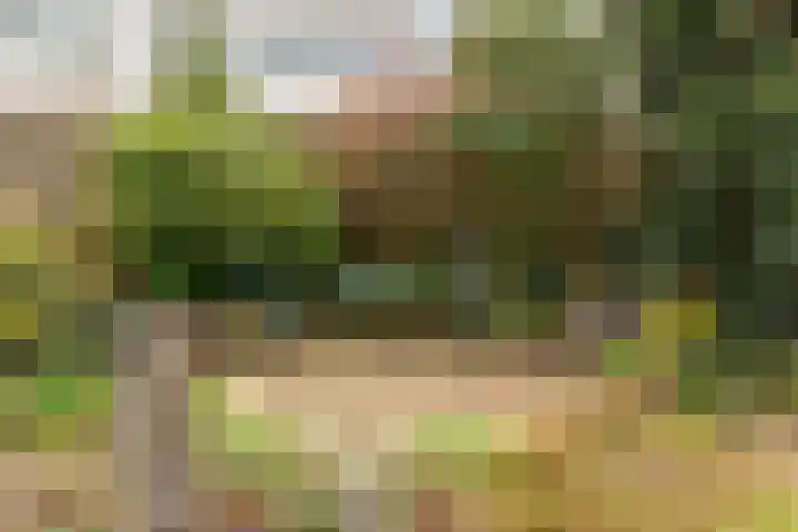 de Haar 55 Raalte thumbnail 29