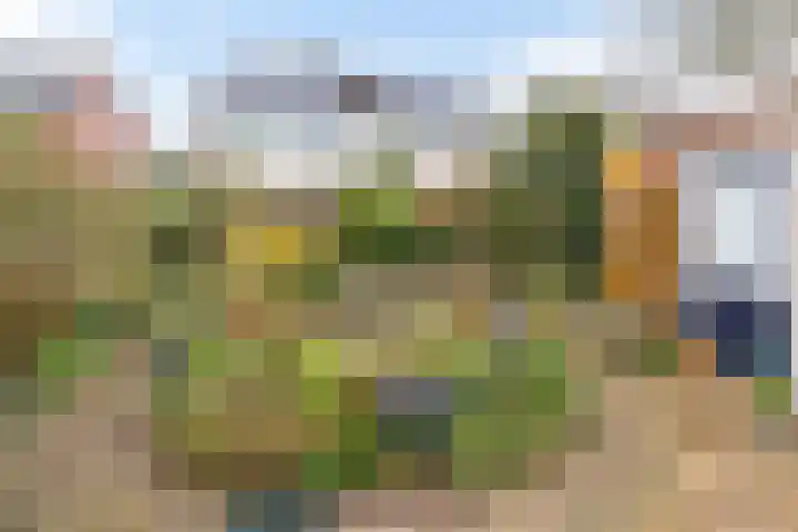de Haar 55 Raalte thumbnail 30