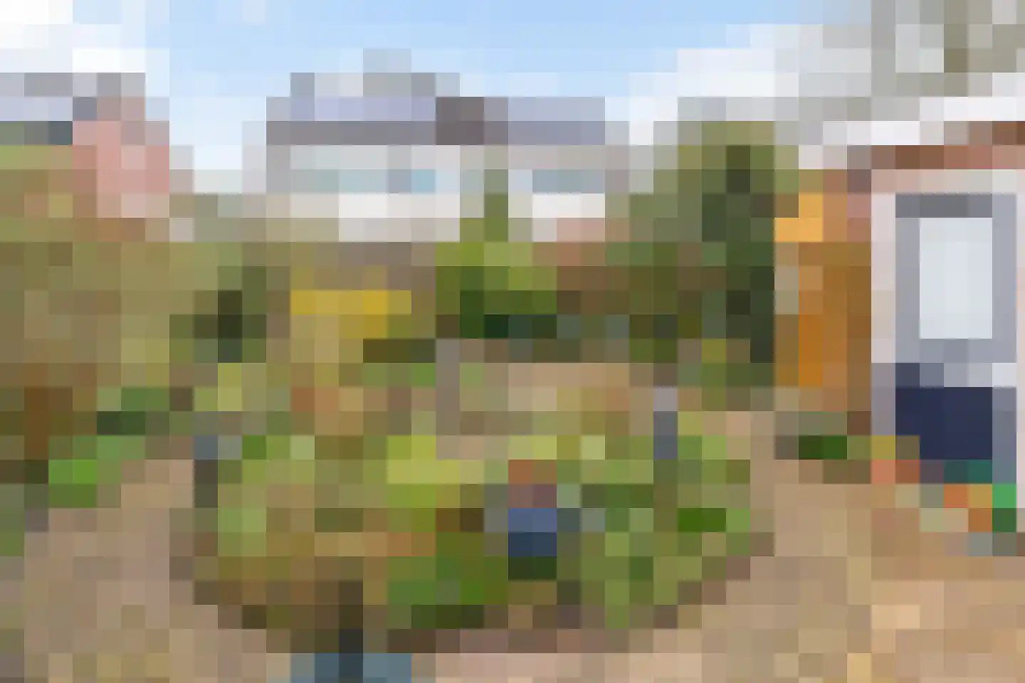 de Haar 55 Raalte thumbnail 30