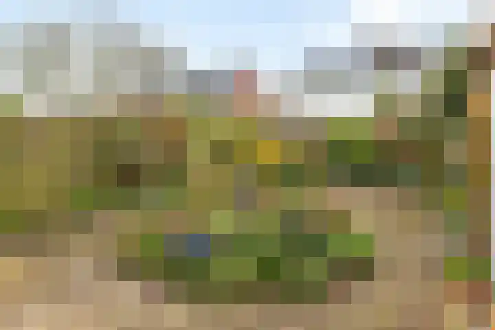 de Haar 55 Raalte thumbnail 31
