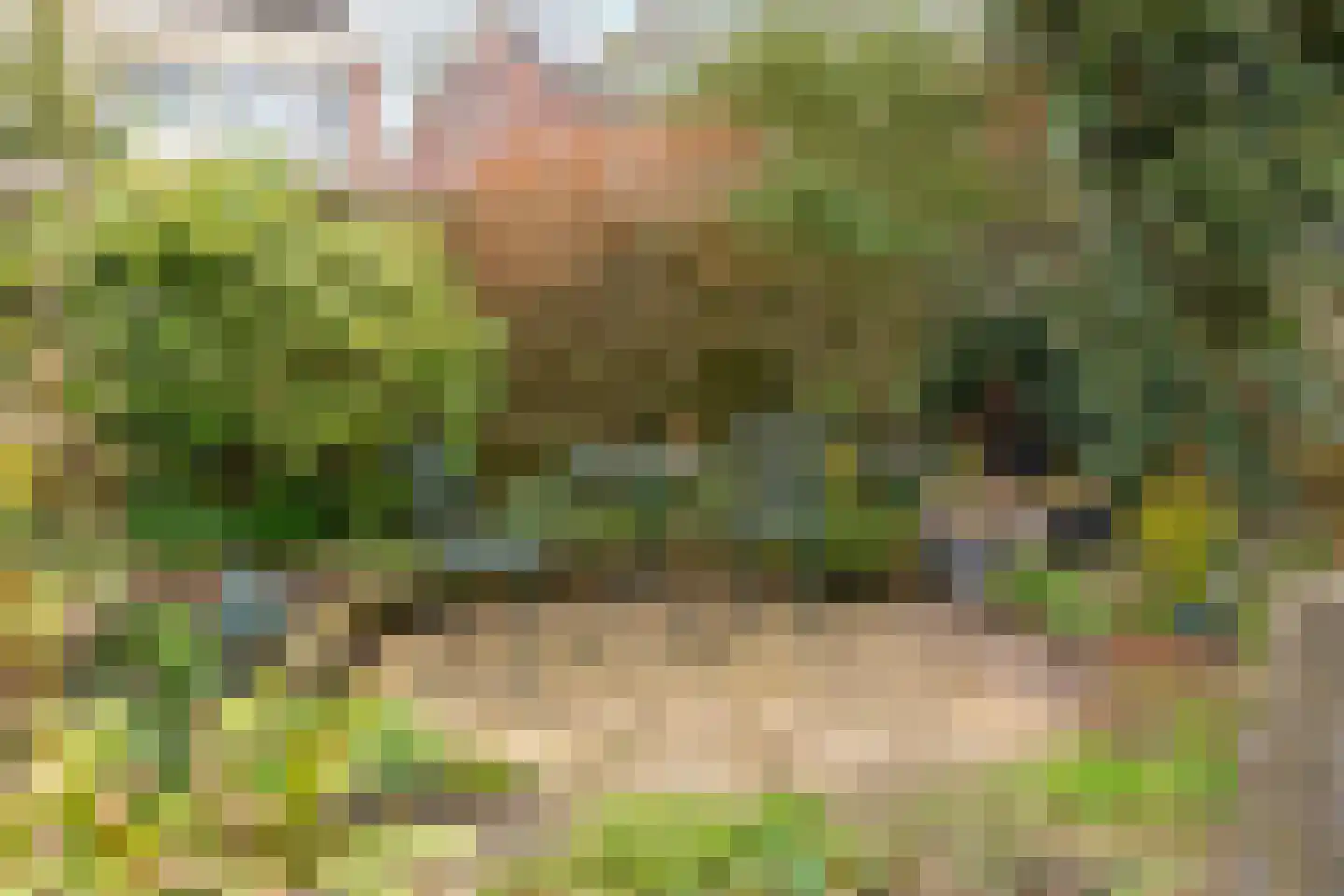 de Haar 55 Raalte thumbnail 32