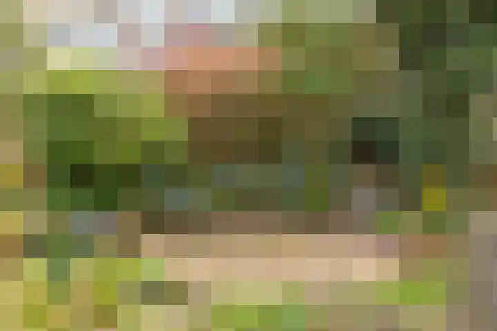 de Haar 55 Raalte thumbnail 32