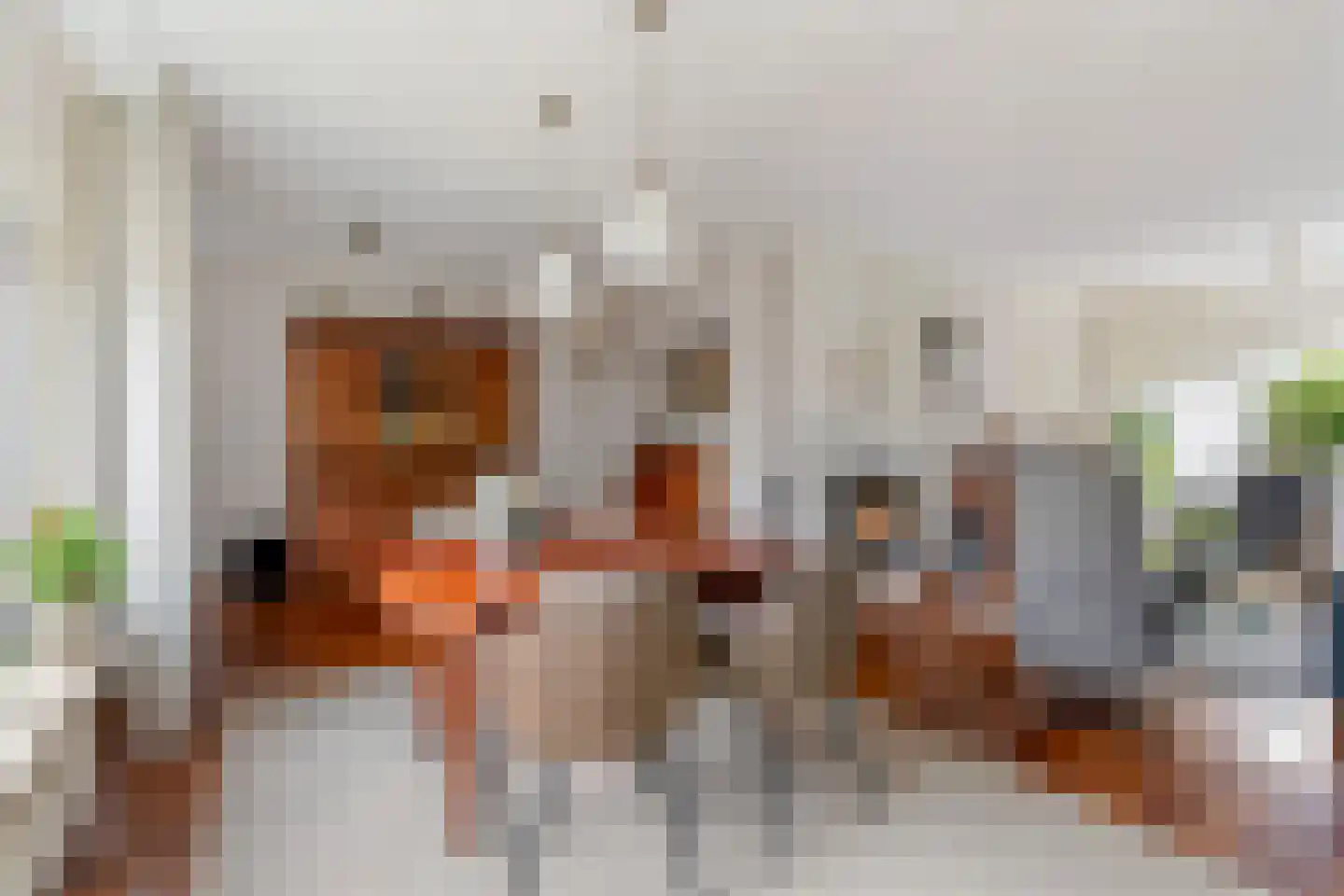 de Haar 55 Raalte thumbnail 8