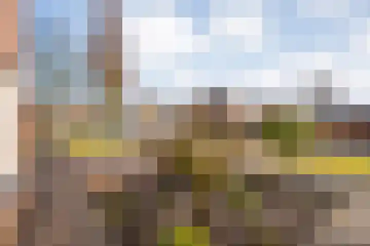 de Haar 57 Raalte thumbnail 10
