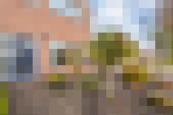 de Haar 57 Raalte thumbnail 11