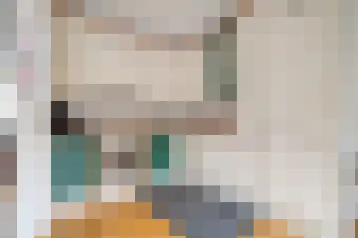 de Haar 57 Raalte thumbnail 17