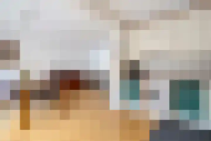 de Haar 57 Raalte thumbnail 21