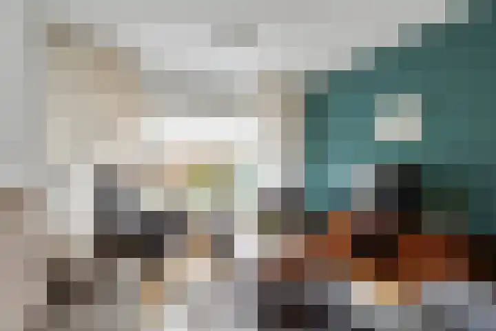 de Haar 57 Raalte thumbnail 23