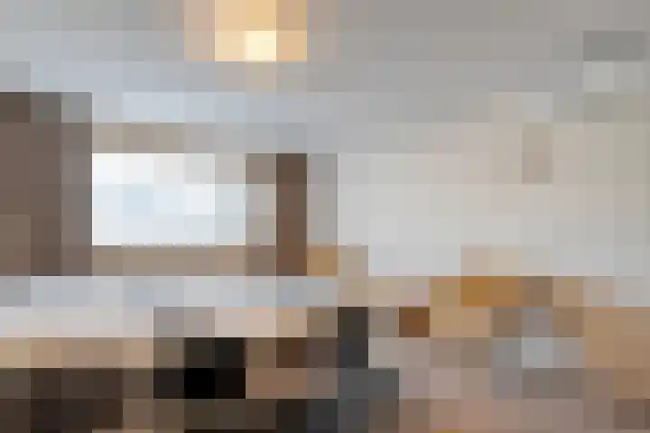 de Haar 57 Raalte thumbnail 26