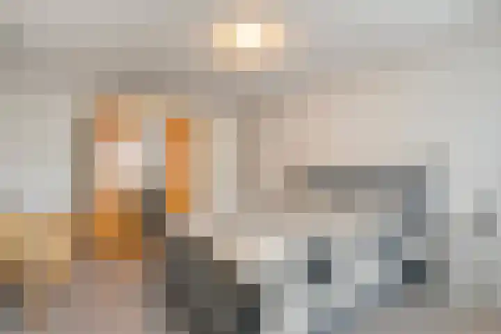 de Haar 57 Raalte thumbnail 27