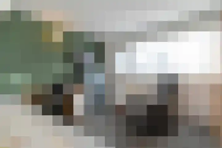 de Haar 57 Raalte thumbnail 30