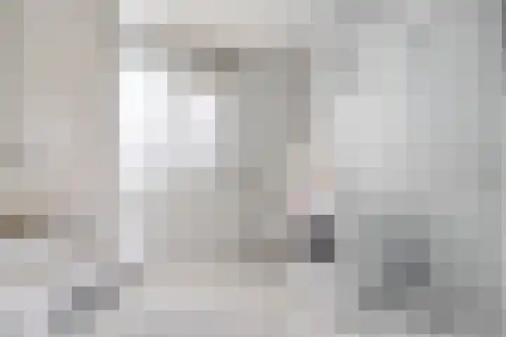 de Haar 57 Raalte thumbnail 32