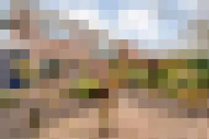 de Haar 57 Raalte thumbnail 38