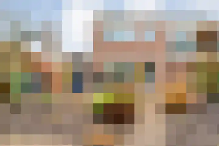 de Haar 57 Raalte thumbnail 39
