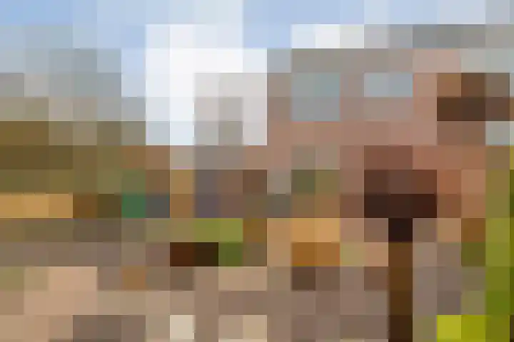 de Haar 57 Raalte thumbnail 40