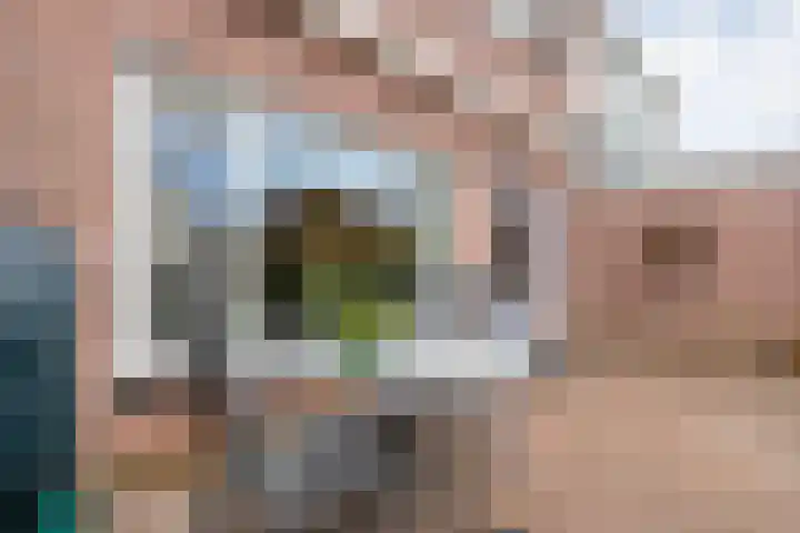 de Haar 57 Raalte thumbnail 42