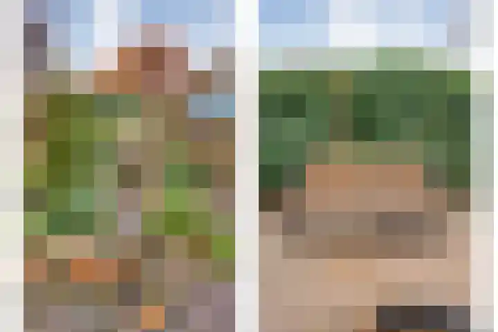 de Haar 57 Raalte thumbnail 43