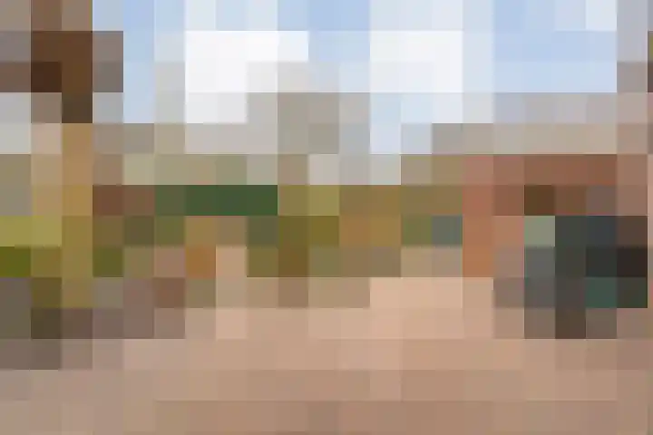 de Haar 57 Raalte thumbnail 44