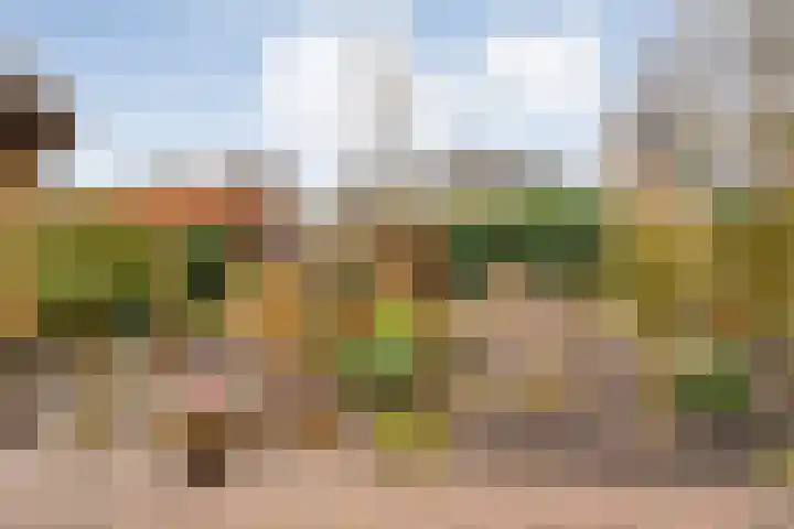 de Haar 57 Raalte thumbnail 45