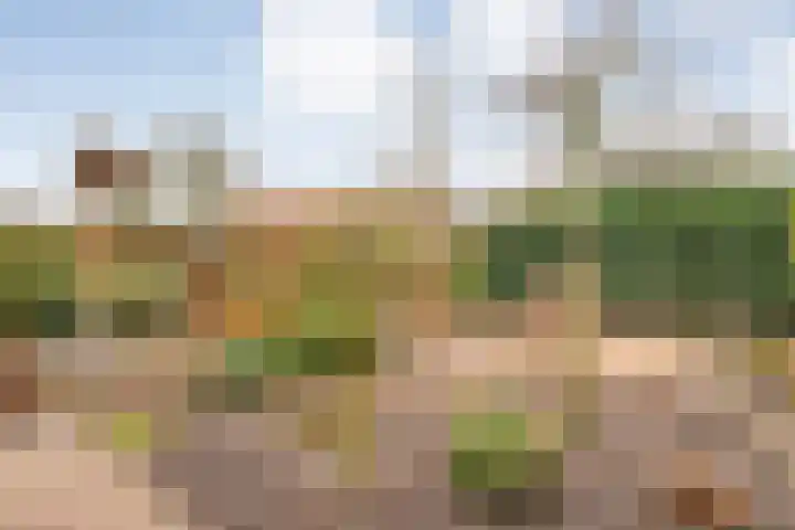de Haar 57 Raalte thumbnail 46