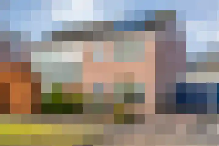 de Haar 57 Raalte thumbnail 5