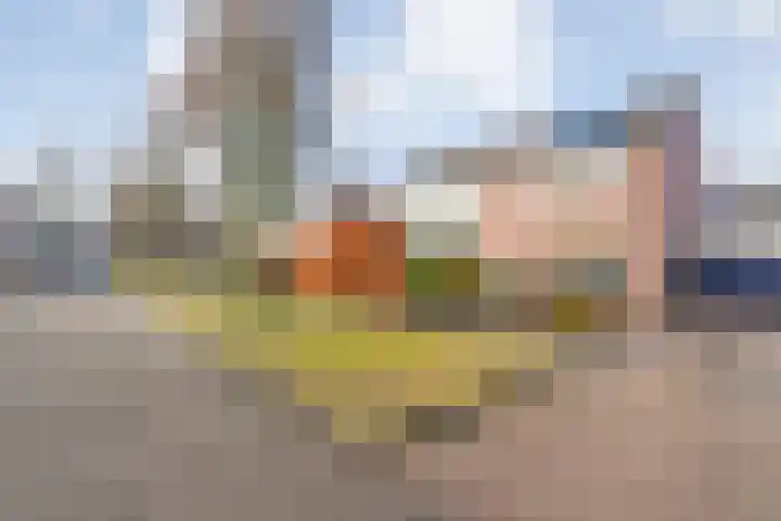 de Haar 57 Raalte thumbnail 6