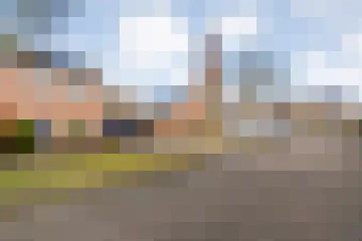 de Haar 57 Raalte thumbnail 7
